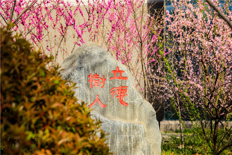 花遮柳掩